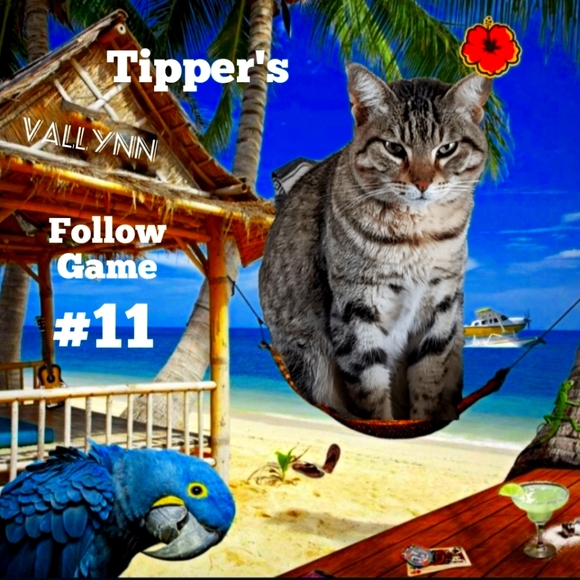 Please like new game #12 - Picture 2 of 10